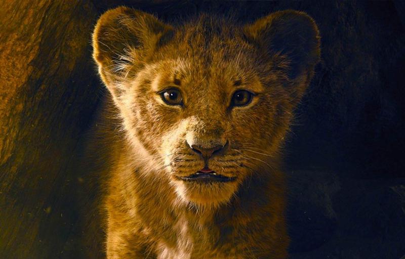 Lion King movie poster